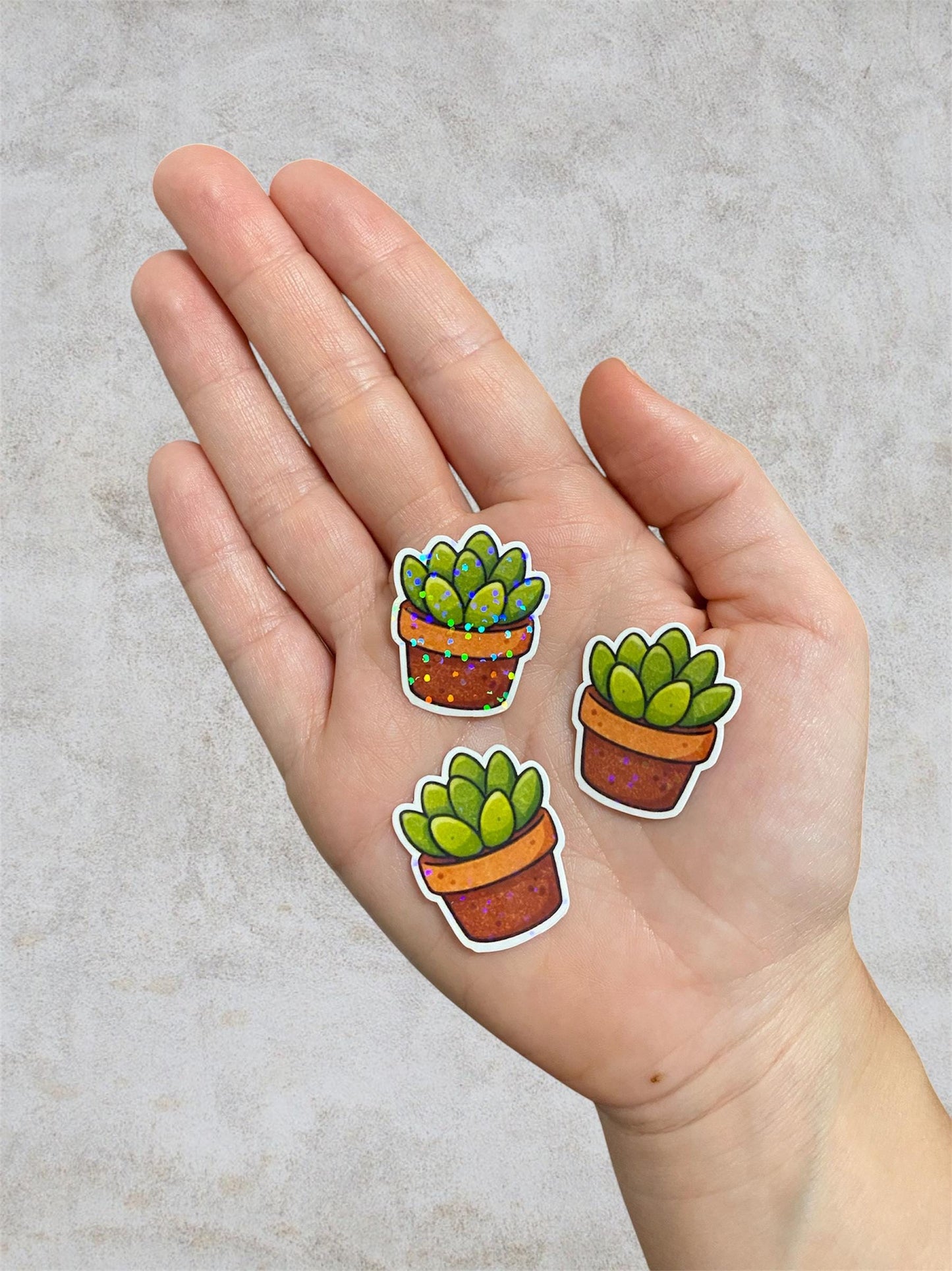 plants 3 holographic stickers | succulents